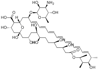 Amphotericin B 1397-89-3